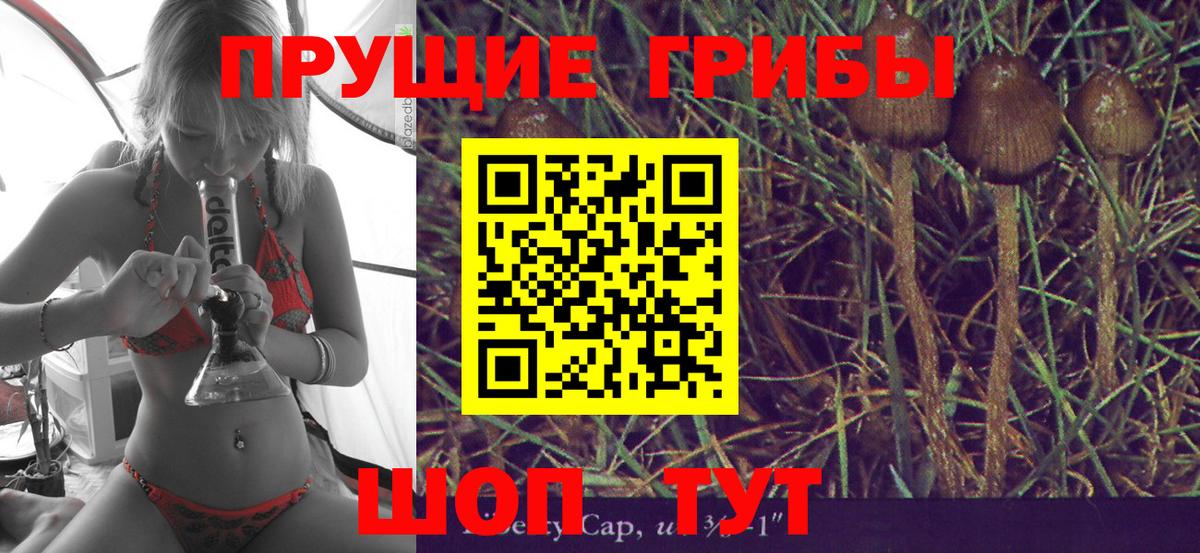 Ступино  Галлюциногенные грибы Psilocybe  Вход с VPN 
